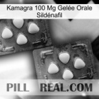 Kamagra 100 Mg Gelée Orale Sildénafil 14